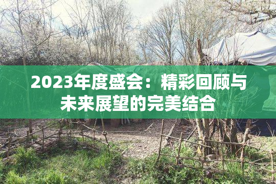 2023年度盛会：精彩回顾与未来展望的完美结合