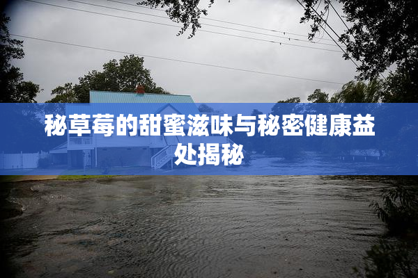 秘草莓的甜蜜滋味与秘密健康益处揭秘