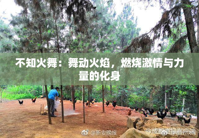 不知火舞：舞动火焰，燃烧激情与力量的化身