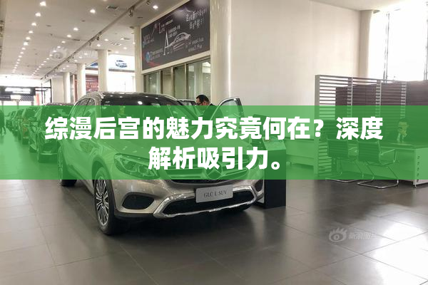 综漫后宫的魅力究竟何在？深度解析吸引力。