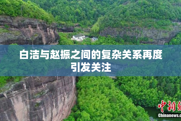 白洁与赵振之间的复杂关系再度引发关注