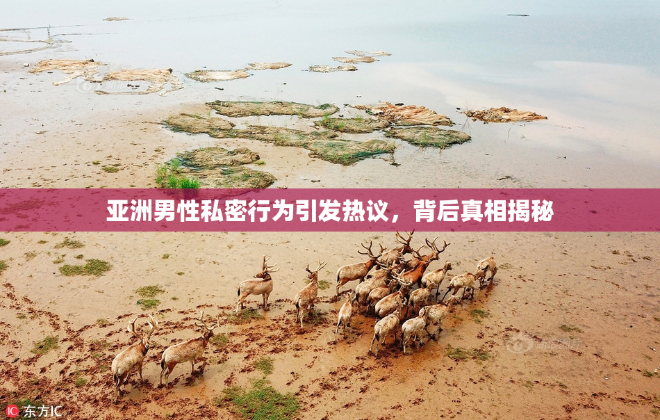 亚洲男性私密行为引发热议，背后真相揭秘