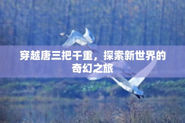 穿越唐三把千重，探索新世界的奇幻之旅