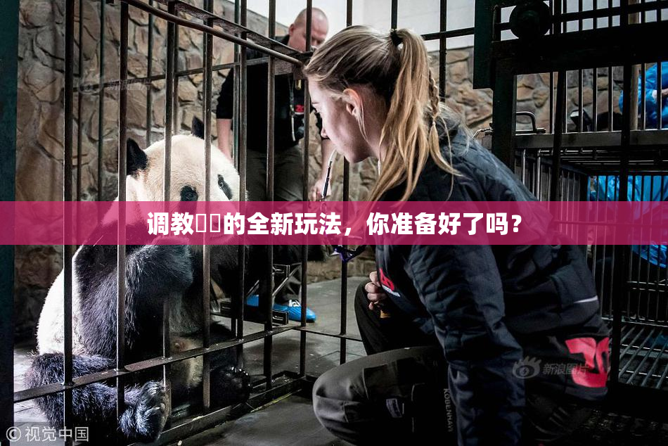 调教妺妺的全新玩法，你准备好了吗？