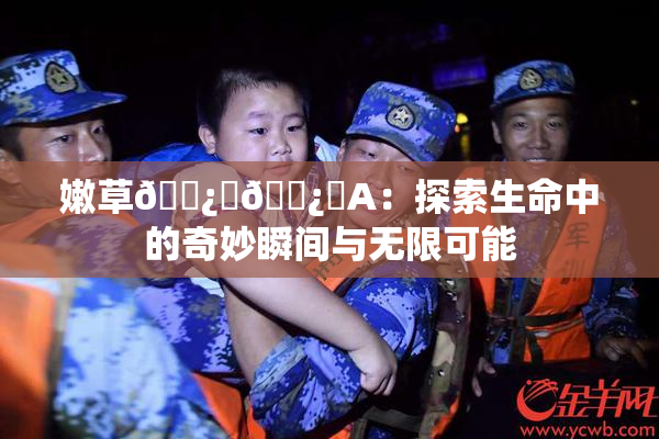 嫩草🌿‌🌿‌A：探索生命中的奇妙瞬间与无限可能