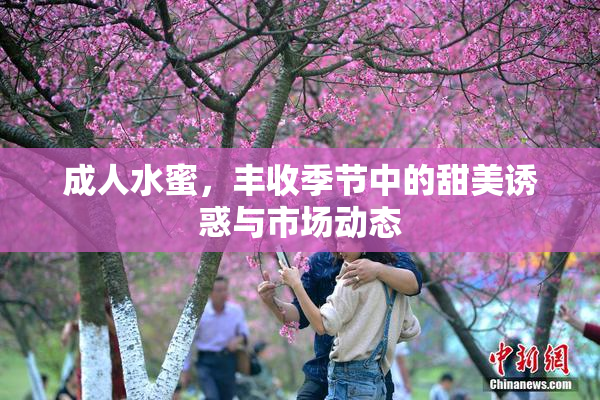 成人水蜜，丰收季节中的甜美诱惑与市场动态