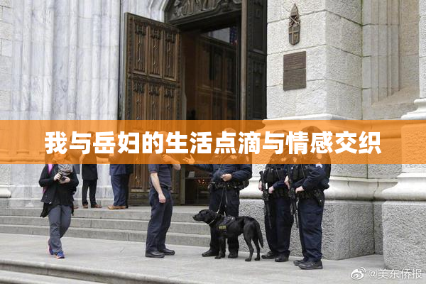 我与岳妇的生活点滴与情感交织