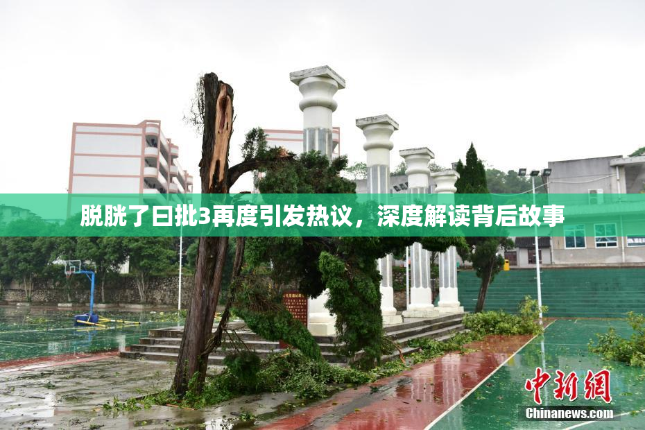 脱胱了曰批3再度引发热议，深度解读背后故事