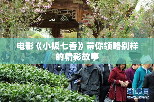 电影《小扳七香》带你领略别样的精彩故事