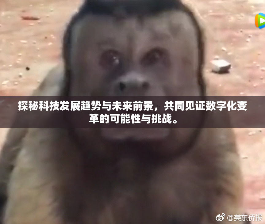 探秘科技发展趋势与未来前景，共同见证数字化变革的可能性与挑战。