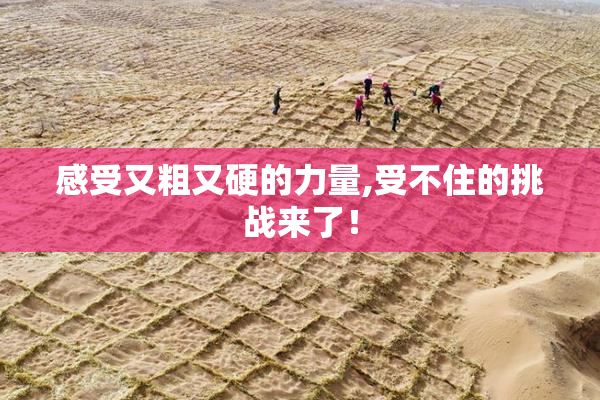 感受又粗又硬的力量,受不住的挑战来了！