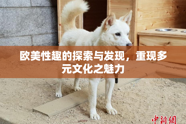 欧美性趣的探索与发现，重现多元文化之魅力