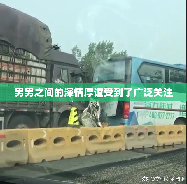 男男之间的深情厚谊受到了广泛关注