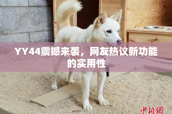 YY44震撼来袭，网友热议新功能的实用性