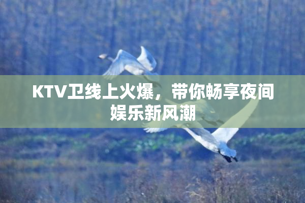 KTV卫线上火爆，带你畅享夜间娱乐新风潮