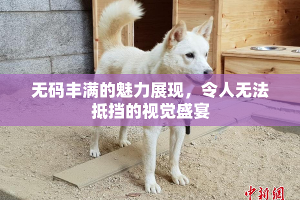 无码丰满的魅力展现，令人无法抵挡的视觉盛宴