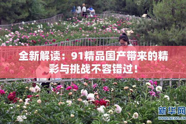 全新解读：91精品国产带来的精彩与挑战不容错过！
