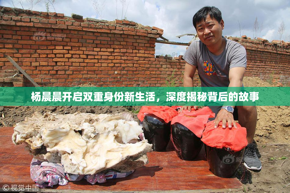 杨晨晨开启双重身份新生活，深度揭秘背后的故事