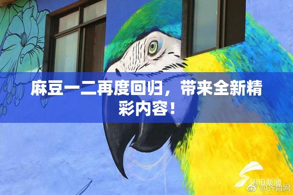 麻豆一二再度回归，带来全新精彩内容！