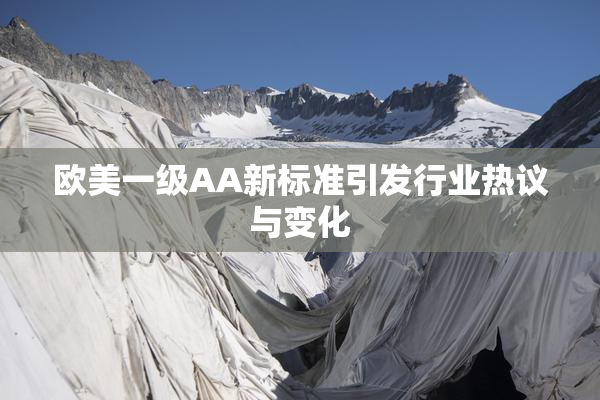 欧美一级AA新标准引发行业热议与变化