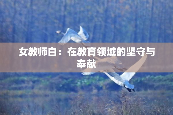 女教师白：在教育领域的坚守与奉献