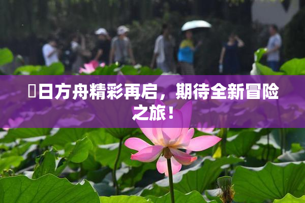 眀日方舟精彩再启，期待全新冒险之旅！