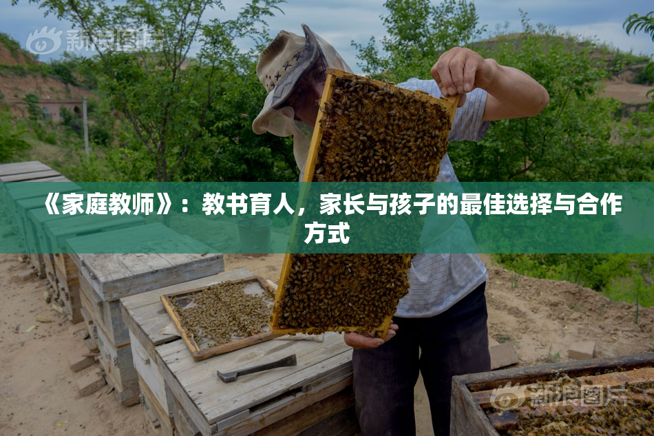 《家庭教师》：教书育人，家长与孩子的最佳选择与合作方式