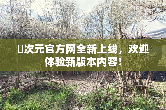 囧次元官方网全新上线，欢迎体验新版本内容！