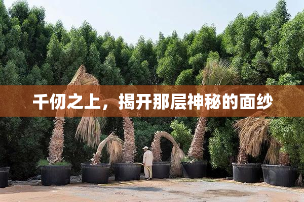 千仞之上，揭开那层神秘的面纱