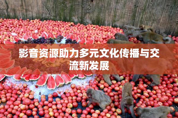 影音资源助力多元文化传播与交流新发展