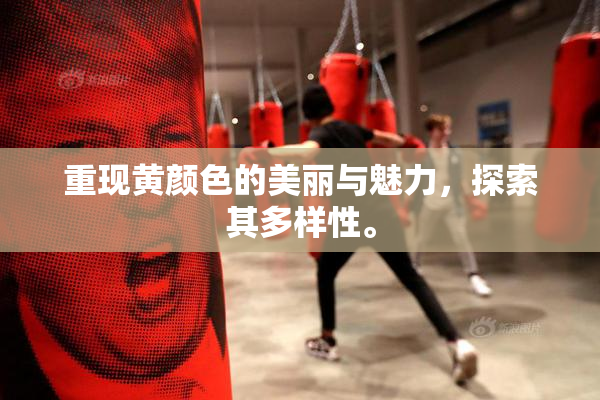 重现黄颜色的美丽与魅力，探索其多样性。