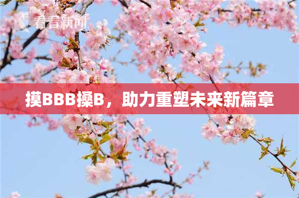 摸BBB搡B，助力重塑未来新篇章