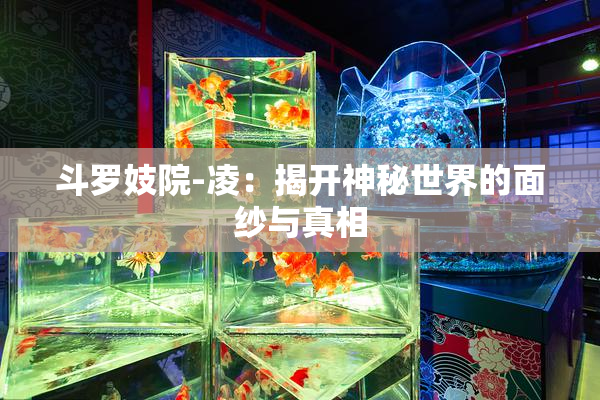 斗罗妓院-凌：揭开神秘世界的面纱与真相