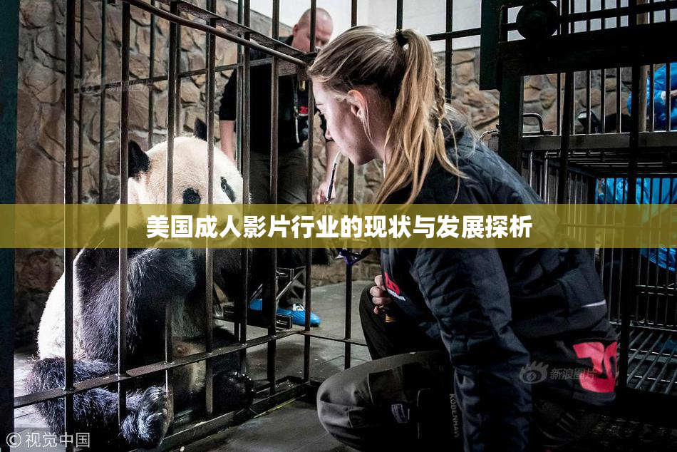 美国成人影片行业的现状与发展探析