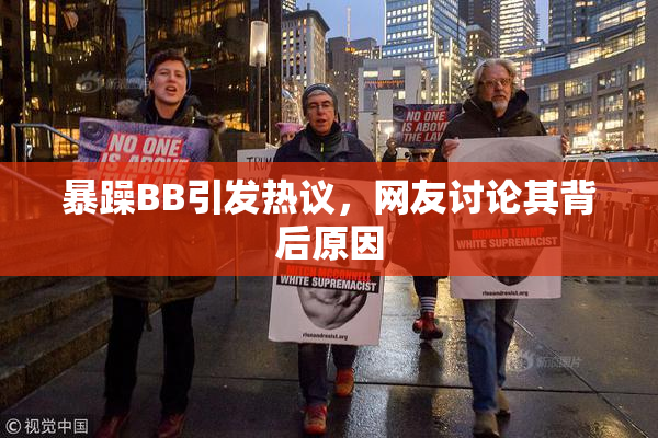 暴躁BB引发热议，网友讨论其背后原因
