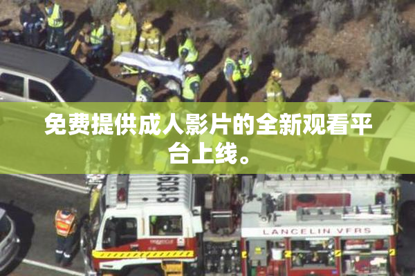 免费提供成人影片的全新观看平台上线。