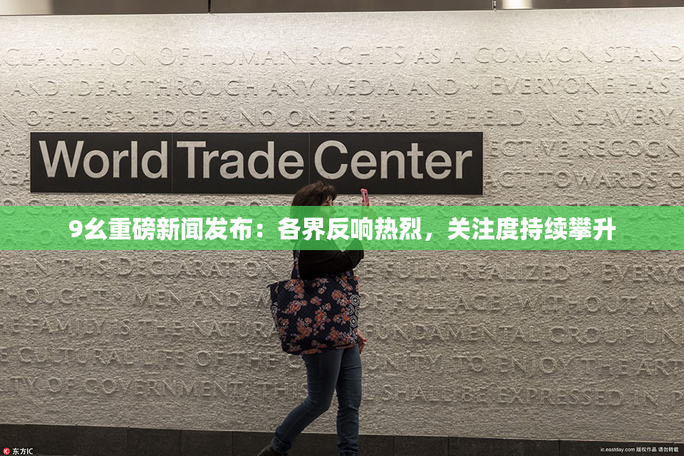 9幺重磅新闻发布：各界反响热烈，关注度持续攀升