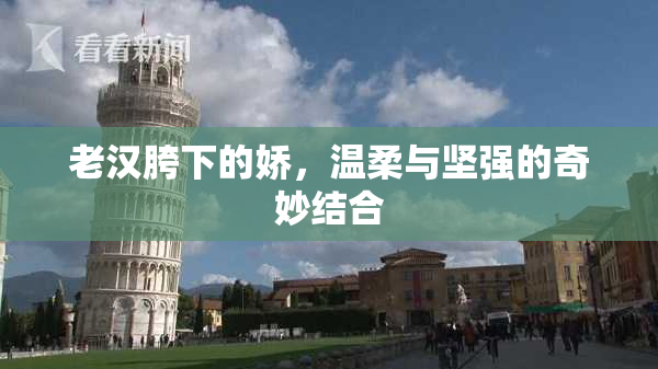 老汉胯下的娇，温柔与坚强的奇妙结合