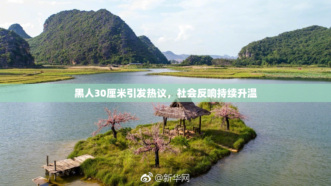 黑人30厘米引发热议，社会反响持续升温