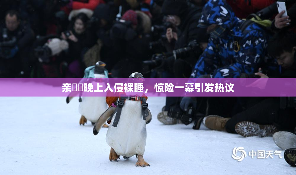 亲妺妺晚上入侵裸睡，惊险一幕引发热议