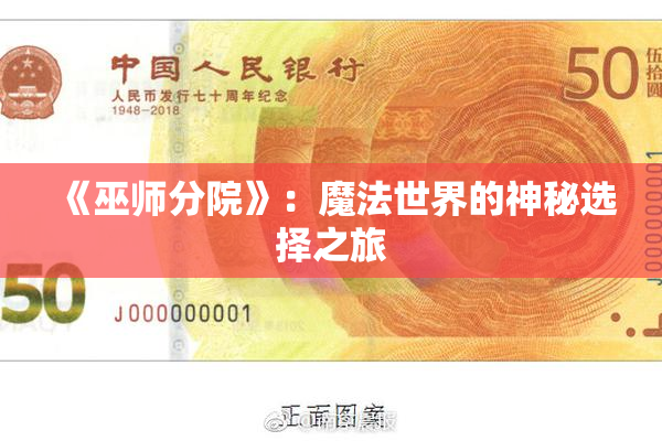 《巫师分院》：魔法世界的神秘选择之旅