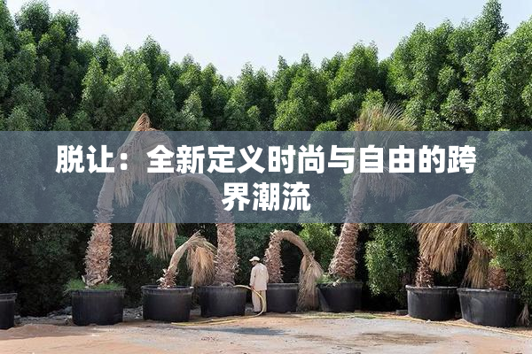 脱让：全新定义时尚与自由的跨界潮流