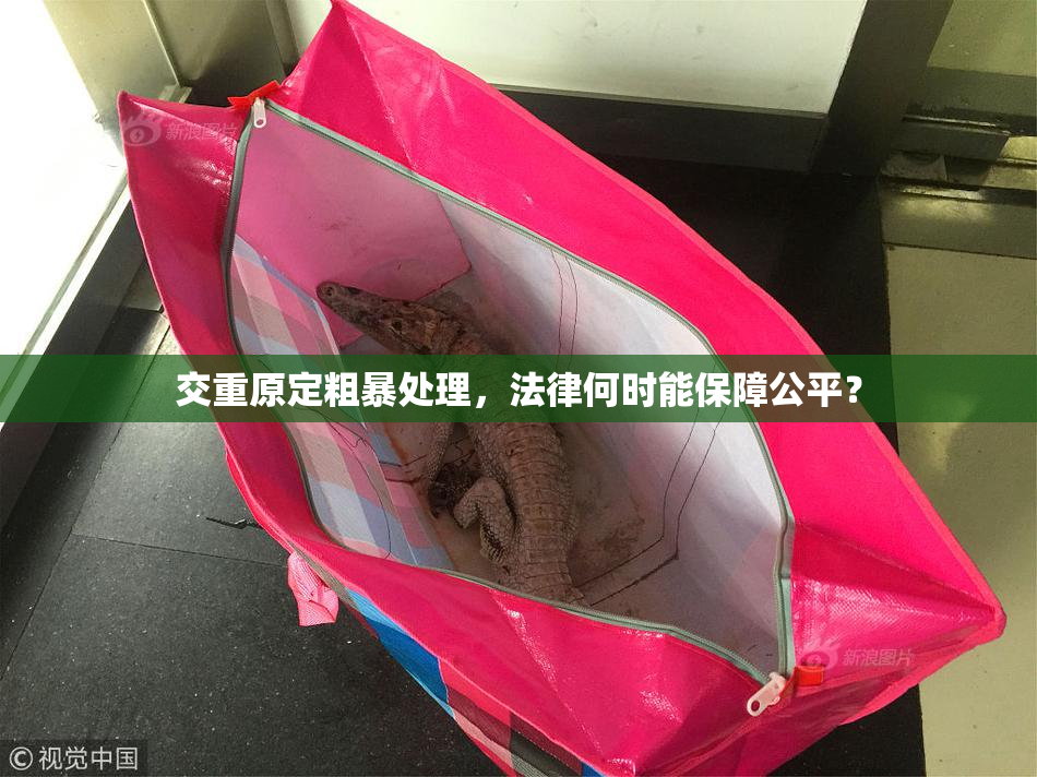 交重原定粗暴处理，法律何时能保障公平？