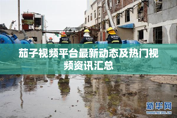 茄子视频平台最新动态及热门视频资讯汇总