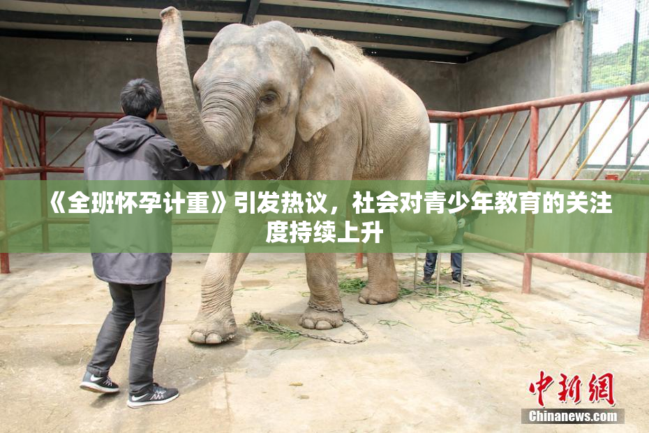 《全班怀孕计重》引发热议，社会对青少年教育的关注度持续上升