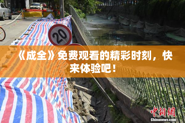《成全》免费观看的精彩时刻，快来体验吧！