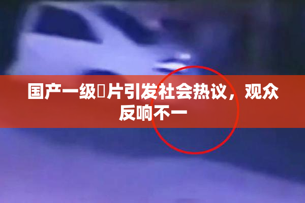 国产一级婬片引发社会热议，观众反响不一