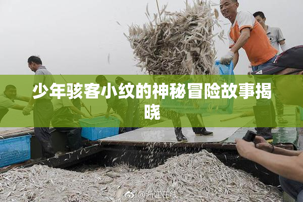 少年骇客小纹的神秘冒险故事揭晓