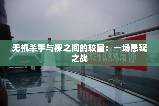 无机杀手与裸之间的较量：一场悬疑之战