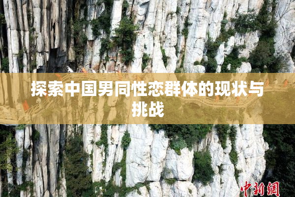 探索中国男同性恋群体的现状与挑战